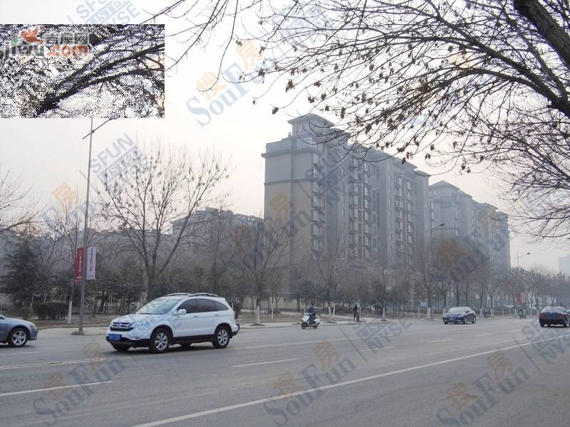 【白马庄园二手房】枣庄白马庄园二手房出售信