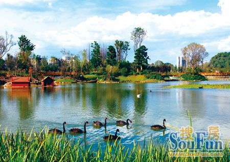 花果园湿地公园 不一样的美景