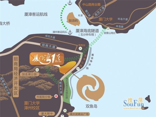 厦门岛内有多少人口_人口普查图片(3)