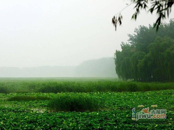 水色时光花园配套图图片