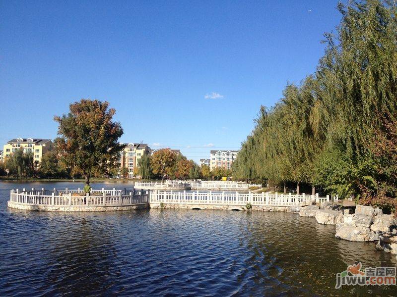 琴湖湾实景图图片