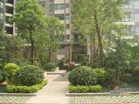 新世纪宜居实景图15