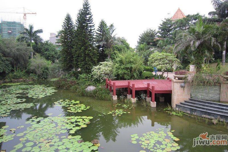 碧水天源枫景台实景图图片