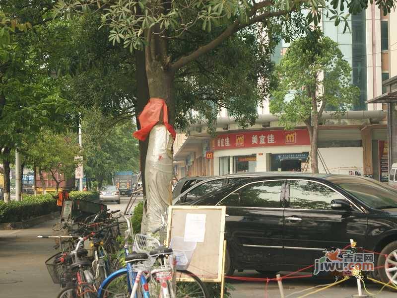 新世纪宜居实景图图片