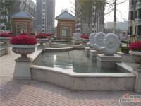 东方太阳城实景图图片