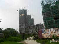 上城国际实景图91