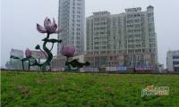 尚城国际小区图片
