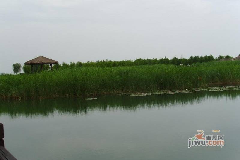 太湖缘实景图图片