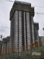陈杨新界实景图2