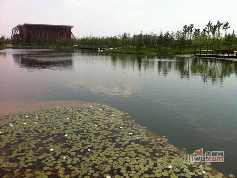 山水华城实景图14