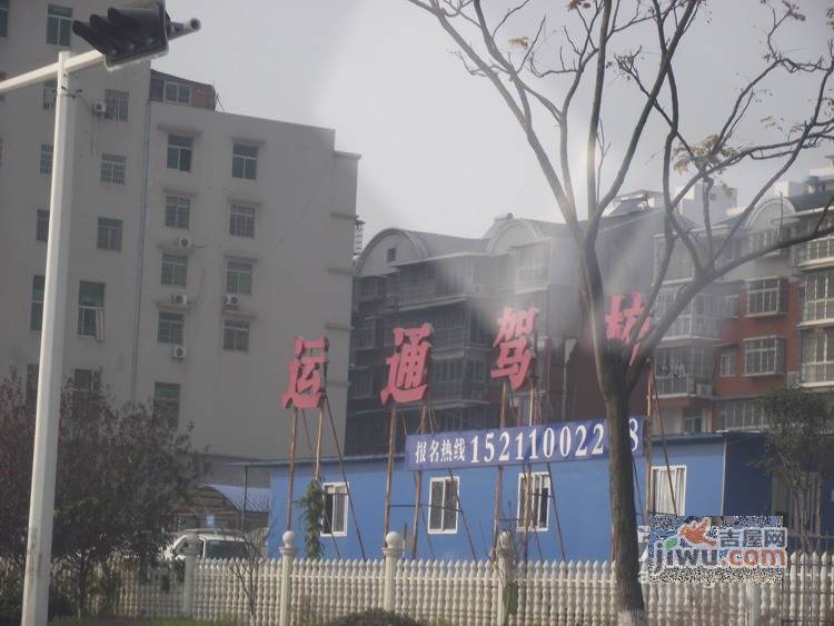 鹏基诺亚山林实景图图片