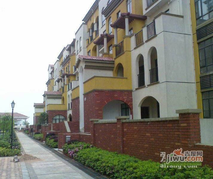 鹏基诺亚山林实景图图片