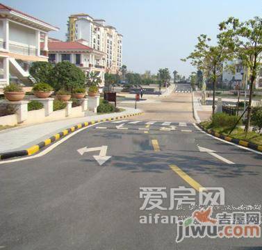 鹏基诺亚山林实景图图片