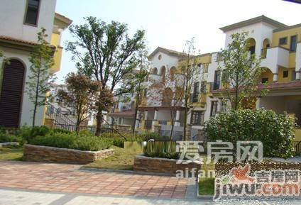 鹏基诺亚山林实景图图片