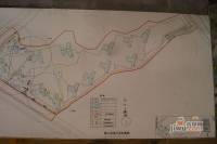 恒豪翠谷城规划图图片
