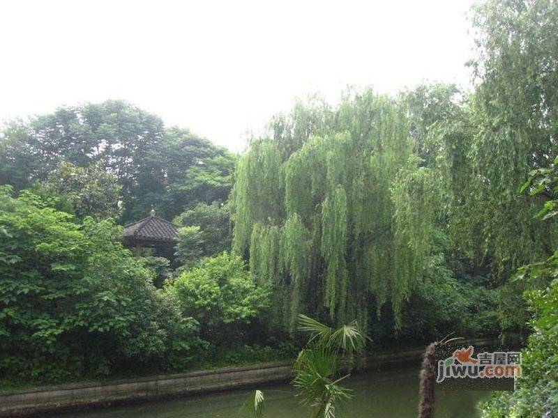 绿城西子杭州御园实景图图片