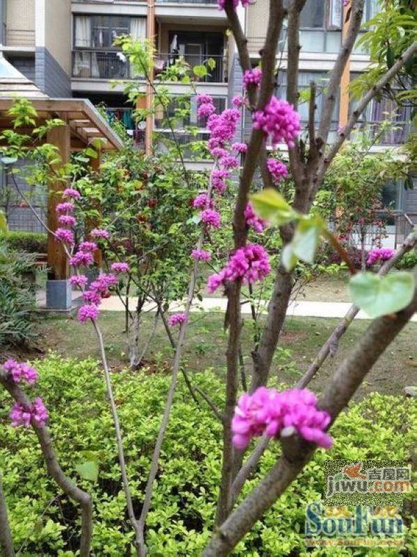 名流人和天地五期实景图图片