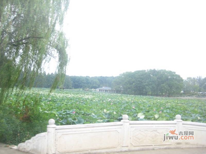 福星惠誉青城华府配套图图片