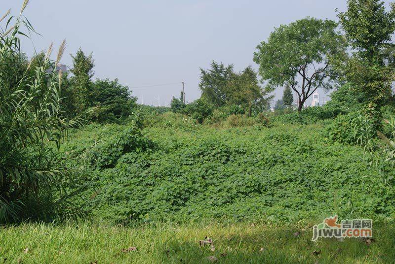 中鼎周山河街区实景图图片