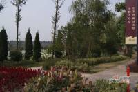泰州碧桂园实景图图片