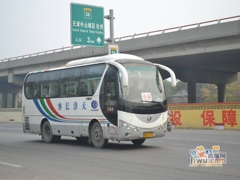 森淼常春藤配套图图片