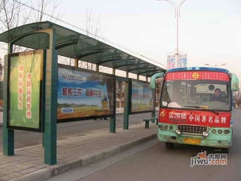 森淼常春藤配套图图片