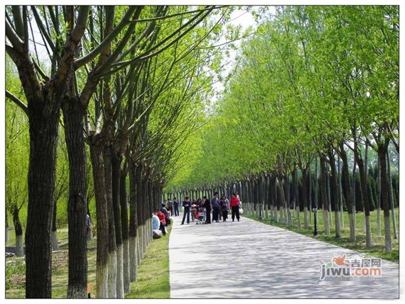 青城美家配套图图片