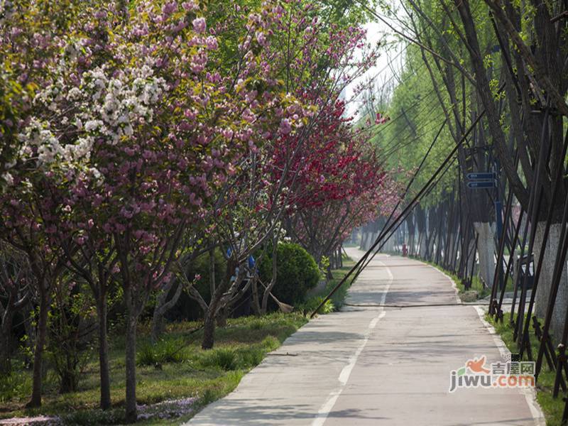 东丽湖万科城鹭湖实景图图片