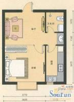 三隆春天花园1室1厅1卫户型图