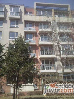 华山新区实景图图片