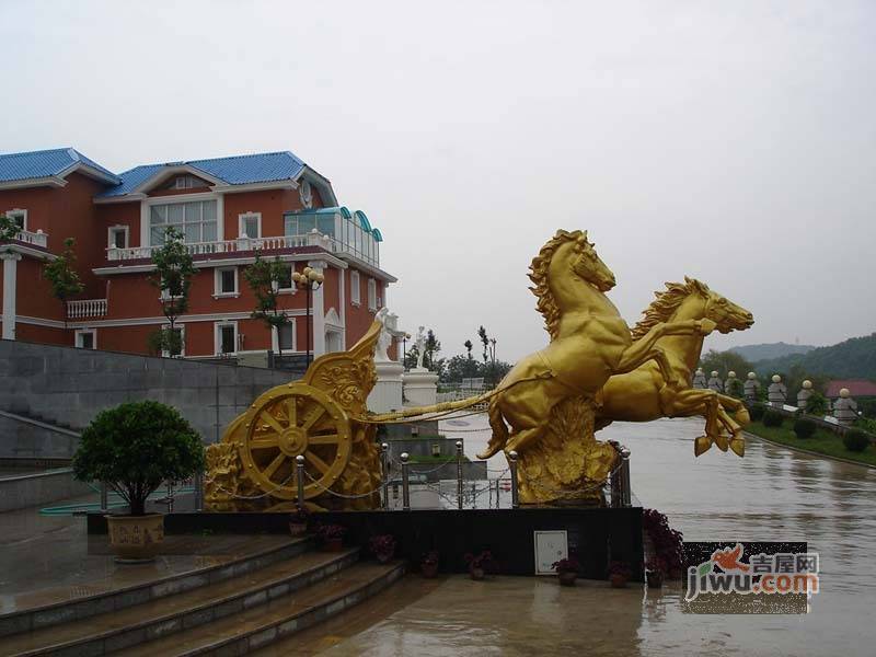 辉山别墅实景图图片