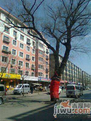 西窑新村实景图图片