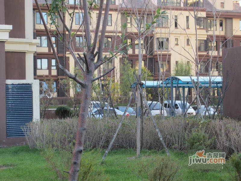 阳光尚城二期实景图图片