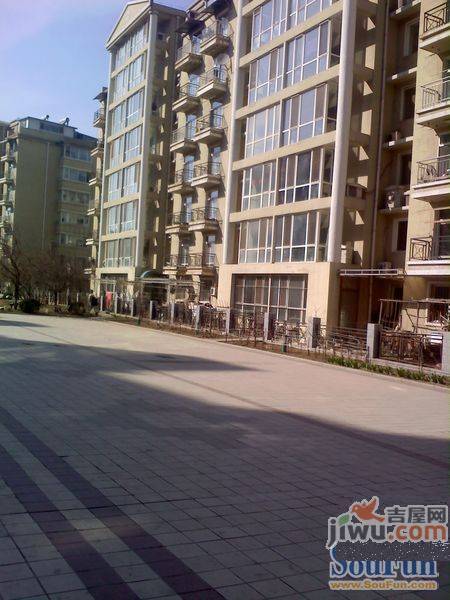 狮城花园实景图图片