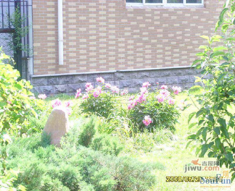 亚都名苑实景图图片