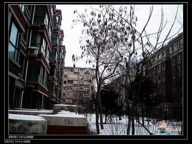 苏堤春晓实景图图片