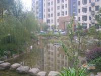 长江长现代城实景图图片
