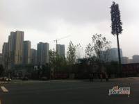 中海城南1号实景图图片