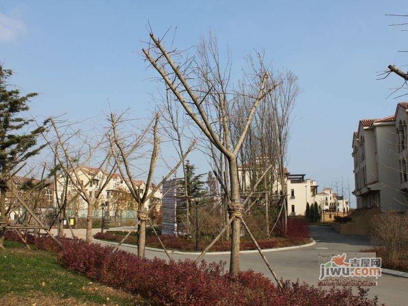 阳光地中海实景图图片