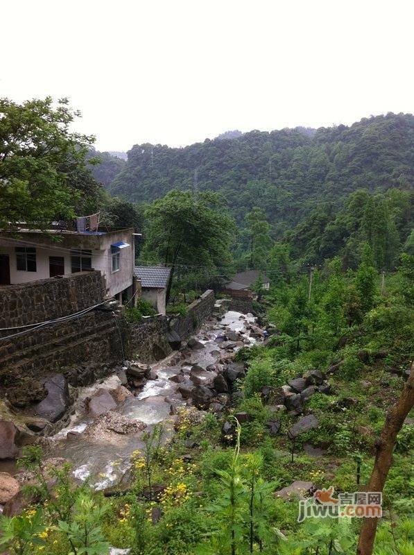 青城山韵实景图图片