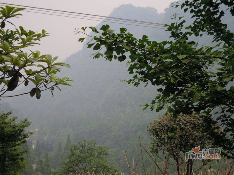 青城山韵实景图图片