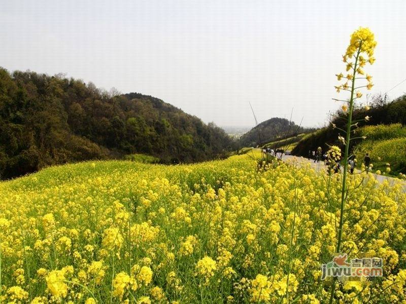 乐活原乡实景图5