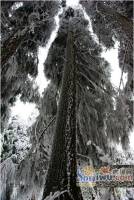 芳草地雪岭仙山三期法米亚实景图图片