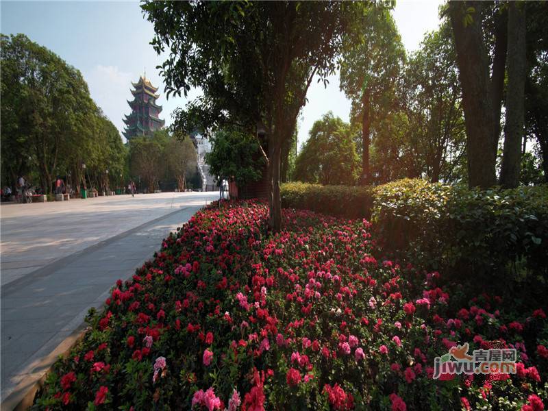 保利江上明珠畅园实景图图片