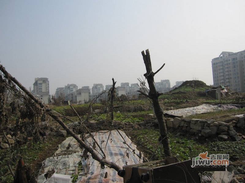 丹佛小镇实景图图片