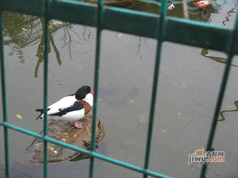 荣盛水景城实景图图片