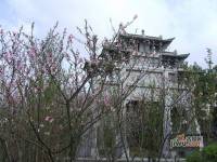徽州文化园实景图3