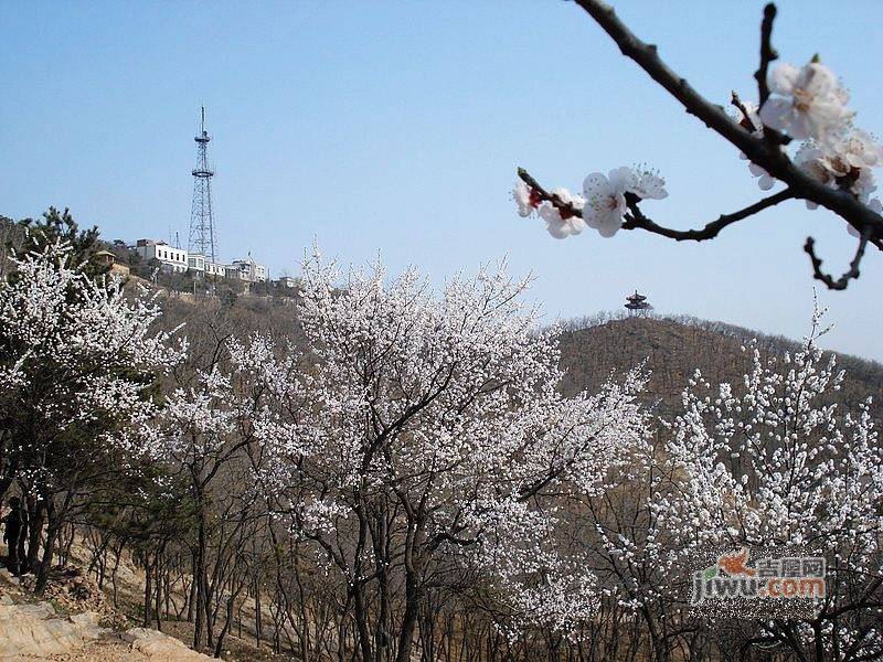 华太财富广场实景图27