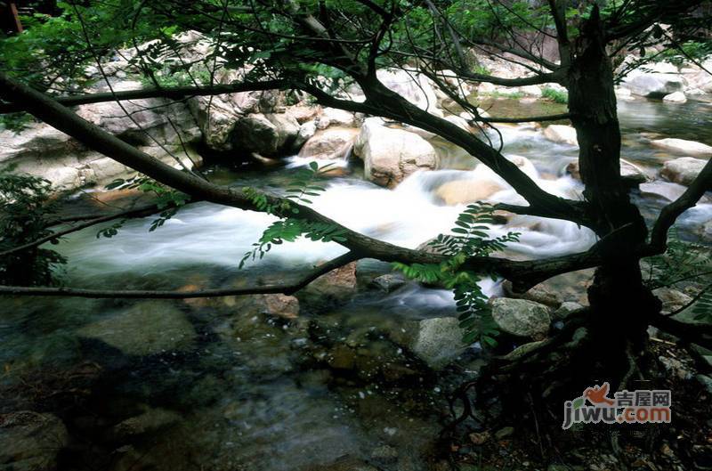 五指山玫瑰溪谷实景图图片