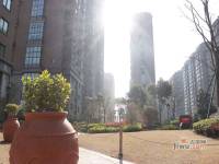 香溢江南实景图图片